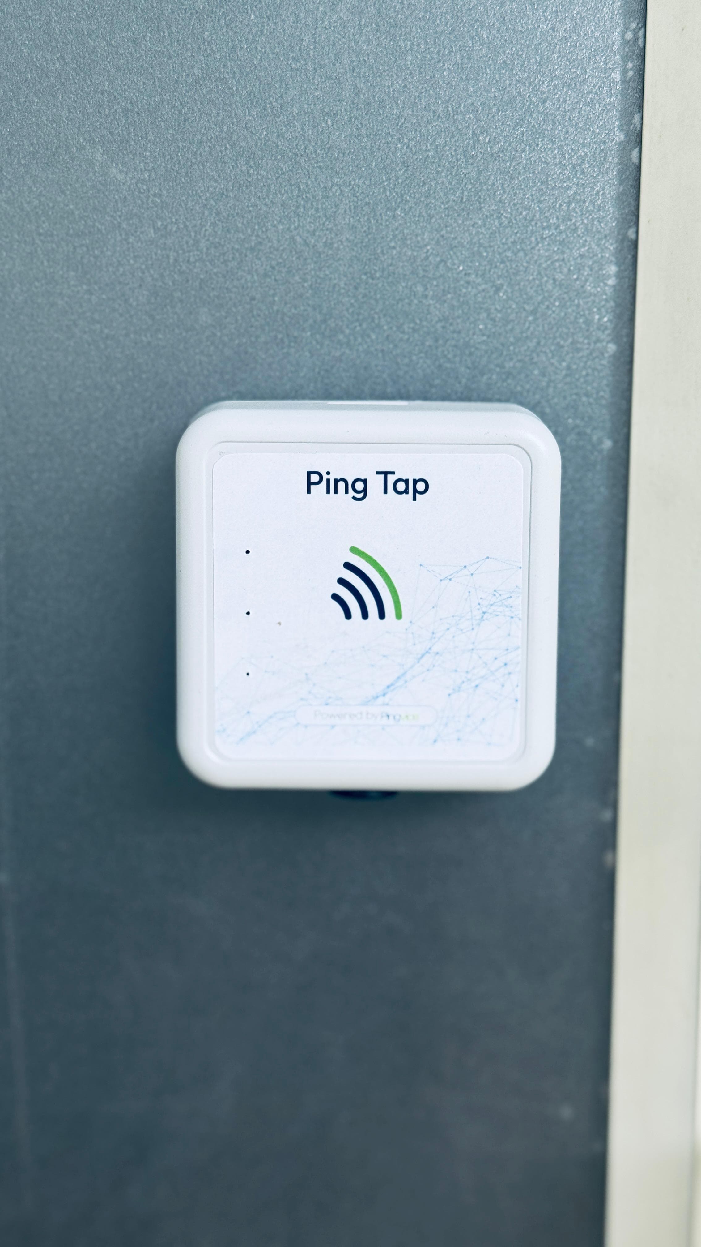 Pingvice Banner