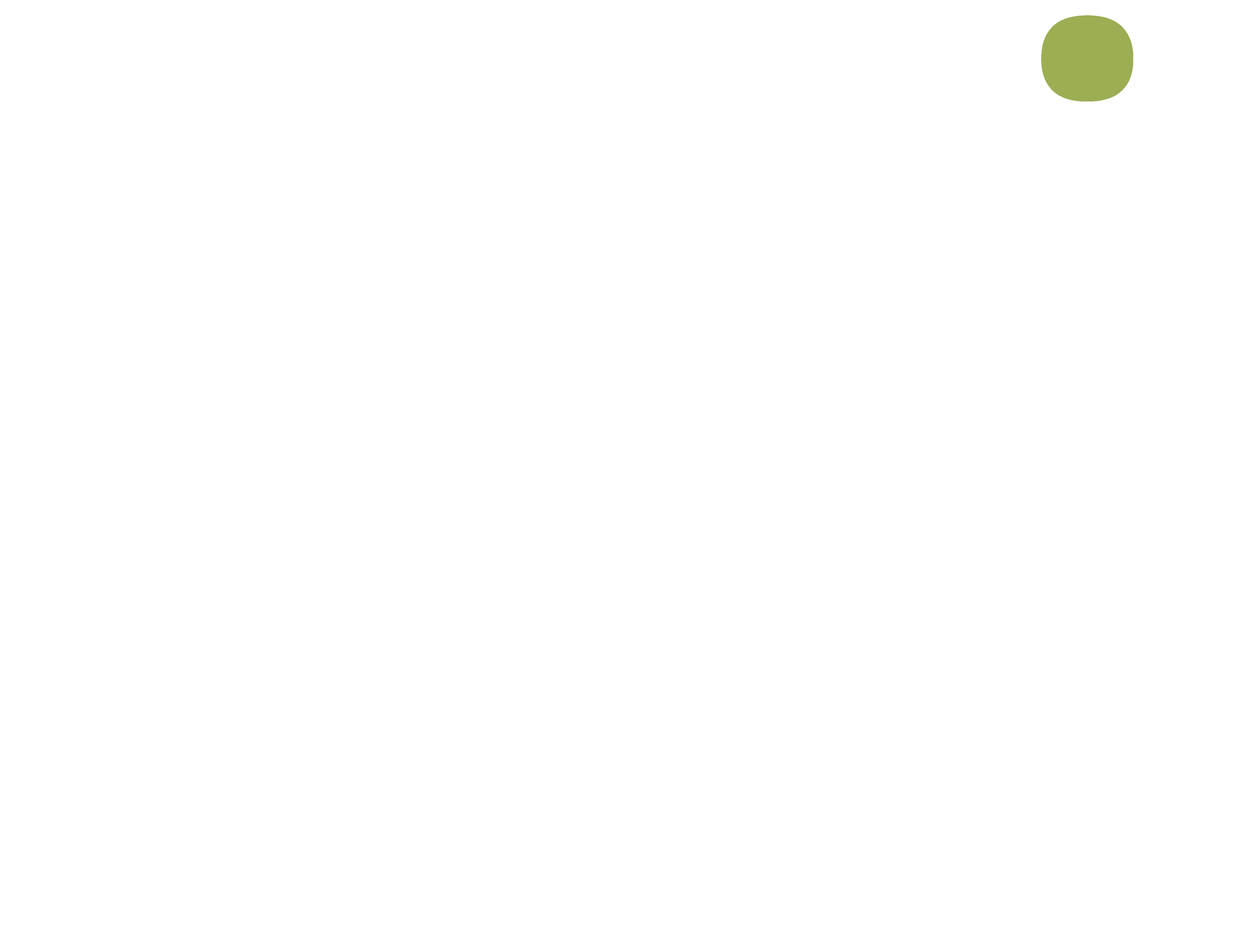 Oppikka Logo